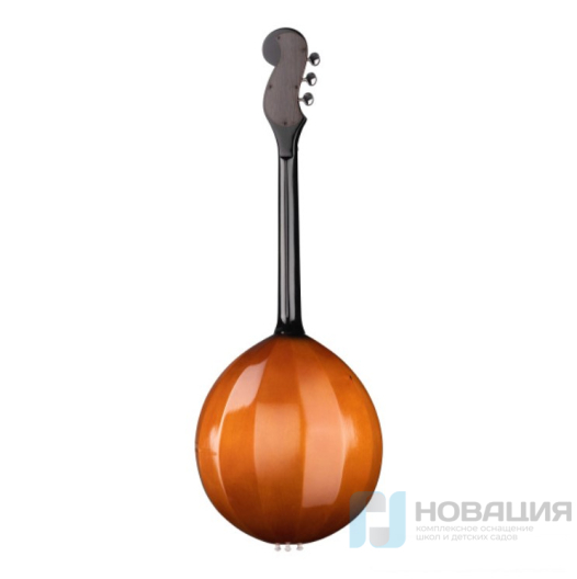 Домра