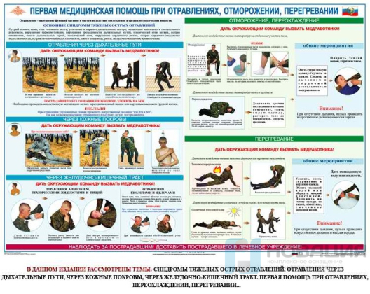 Комплект плакатов Первая медицинская помощь, (6 шт.)