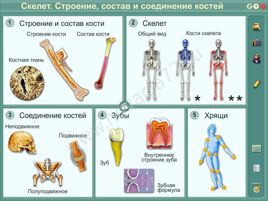 http://185.32.58.216/d/383128/d/bio-429(2).jpg